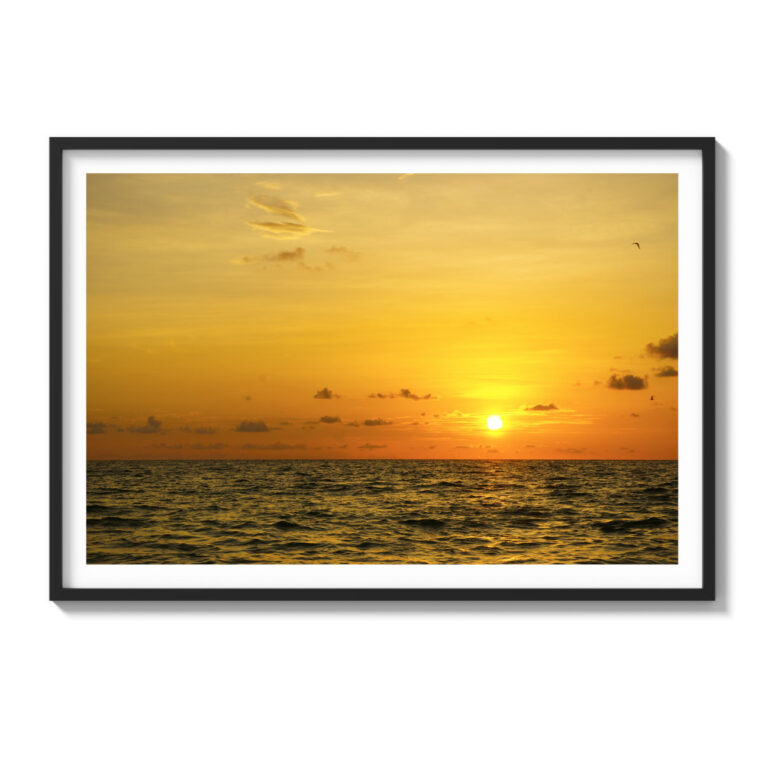 florida sunsets